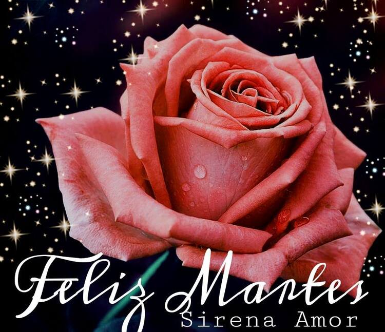 Hermosas imágenes y frases Buenos Días Feliz Martes amigos 16