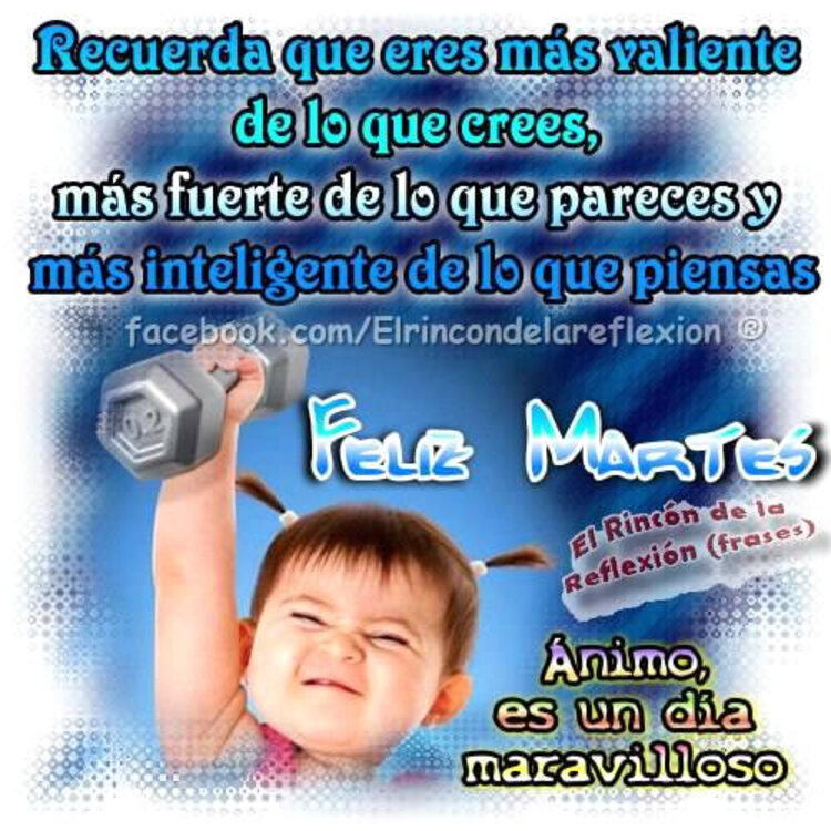 Hermosas imágenes y frases Buenos Días Feliz Martes amigos 4