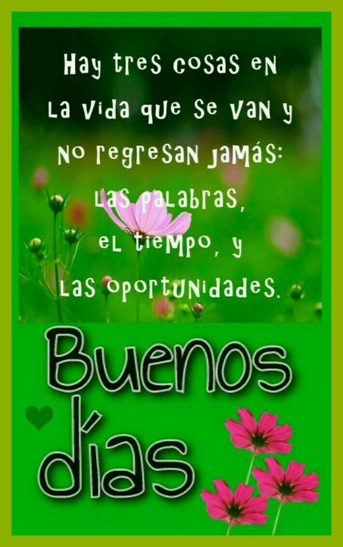 Hermoso Día 3