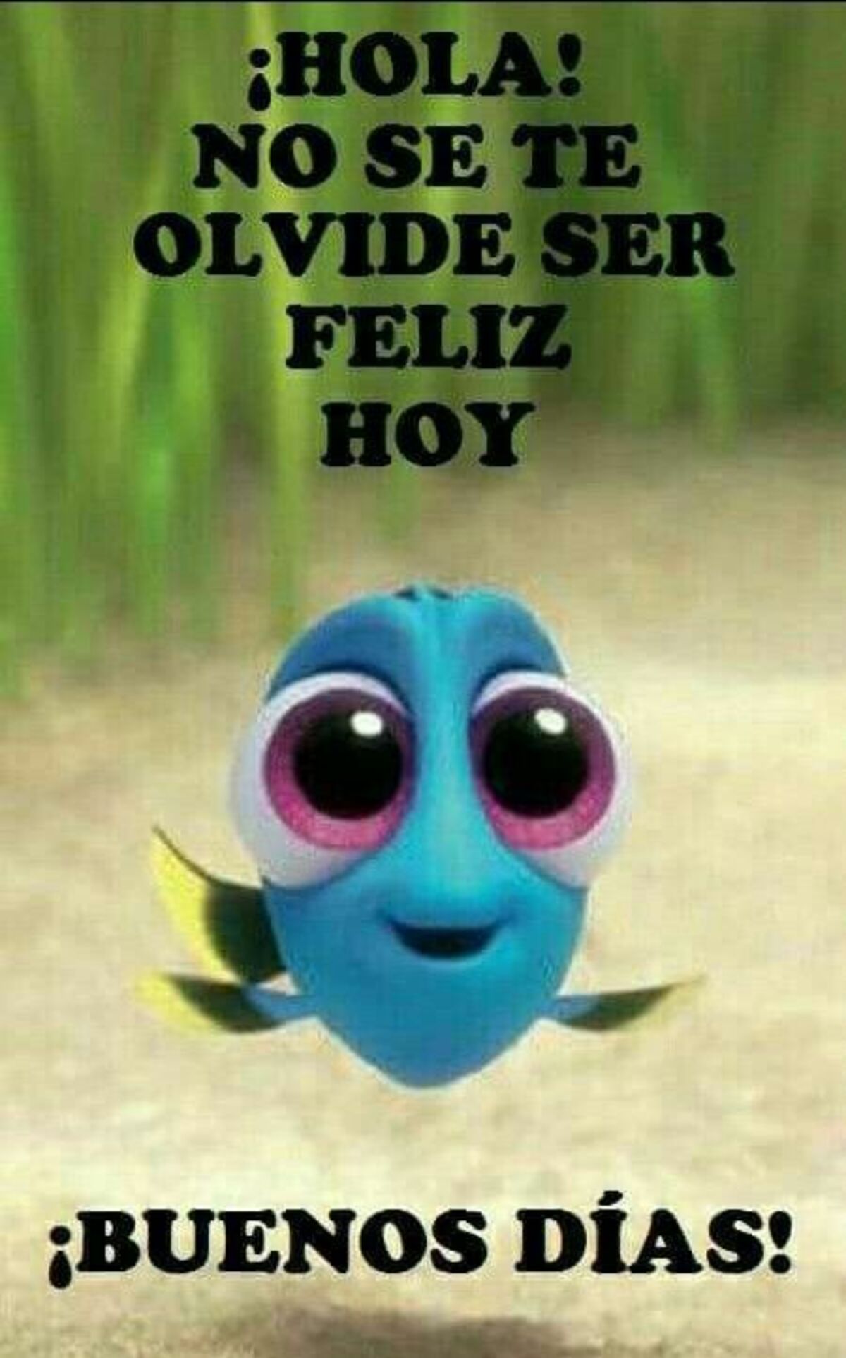 Hermoso Día 6