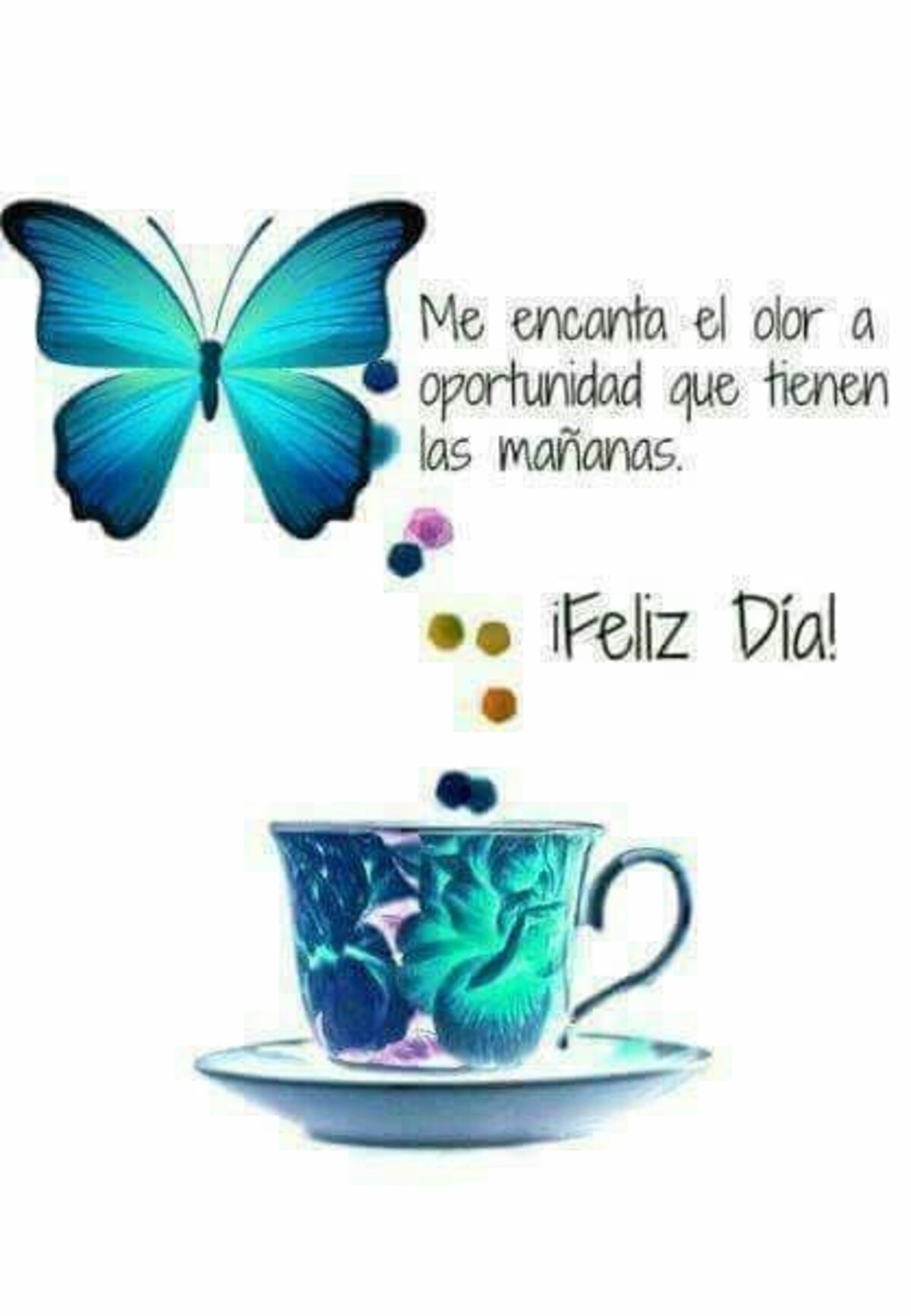 Hermoso Día 8