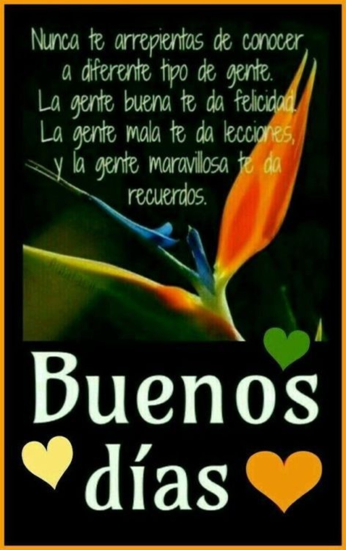 Hermoso Día 9