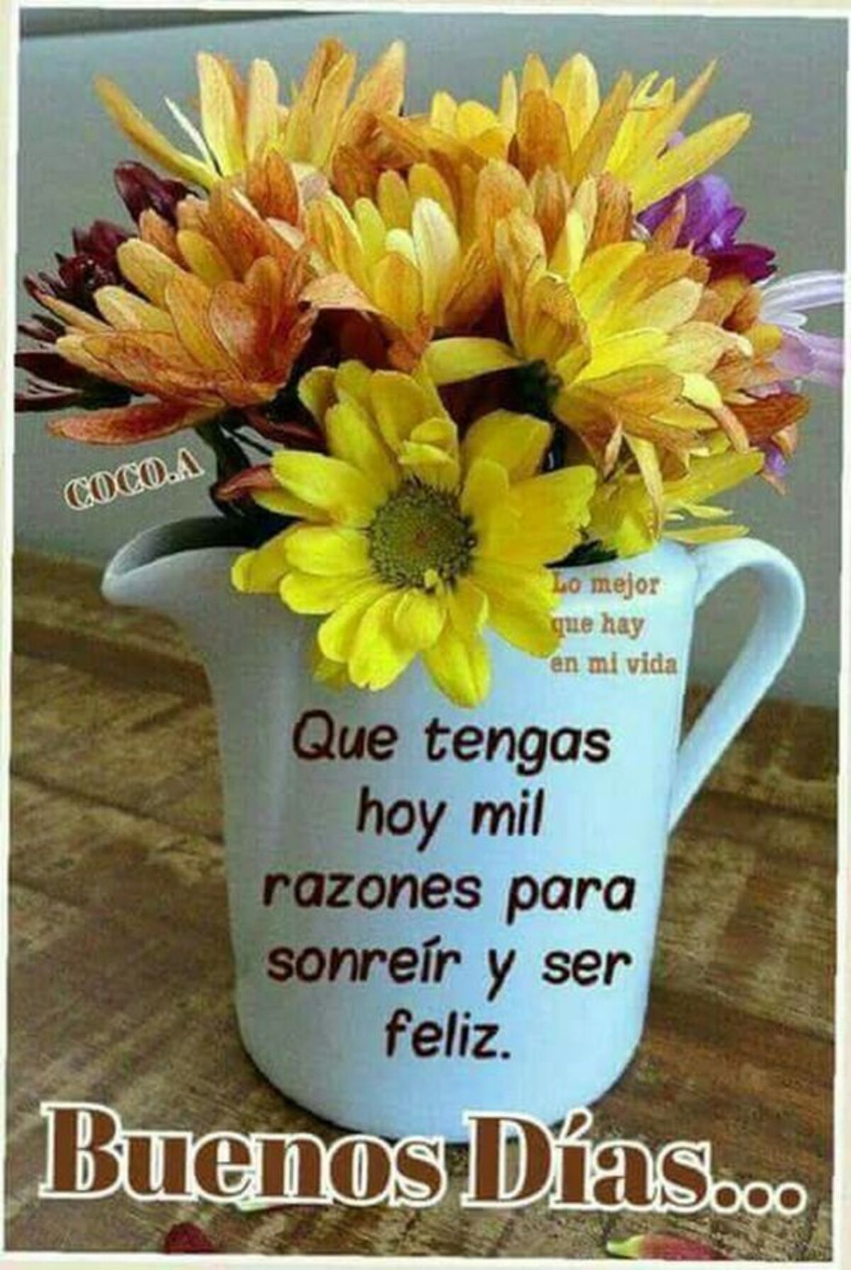 Hola Buenos Días imágenes lindas 12