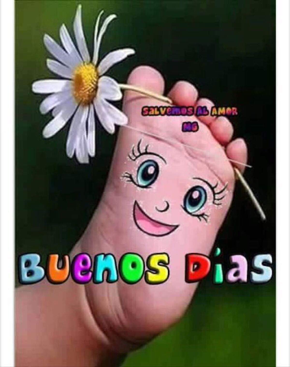 Hola Buenos Días imágenes lindas 6
