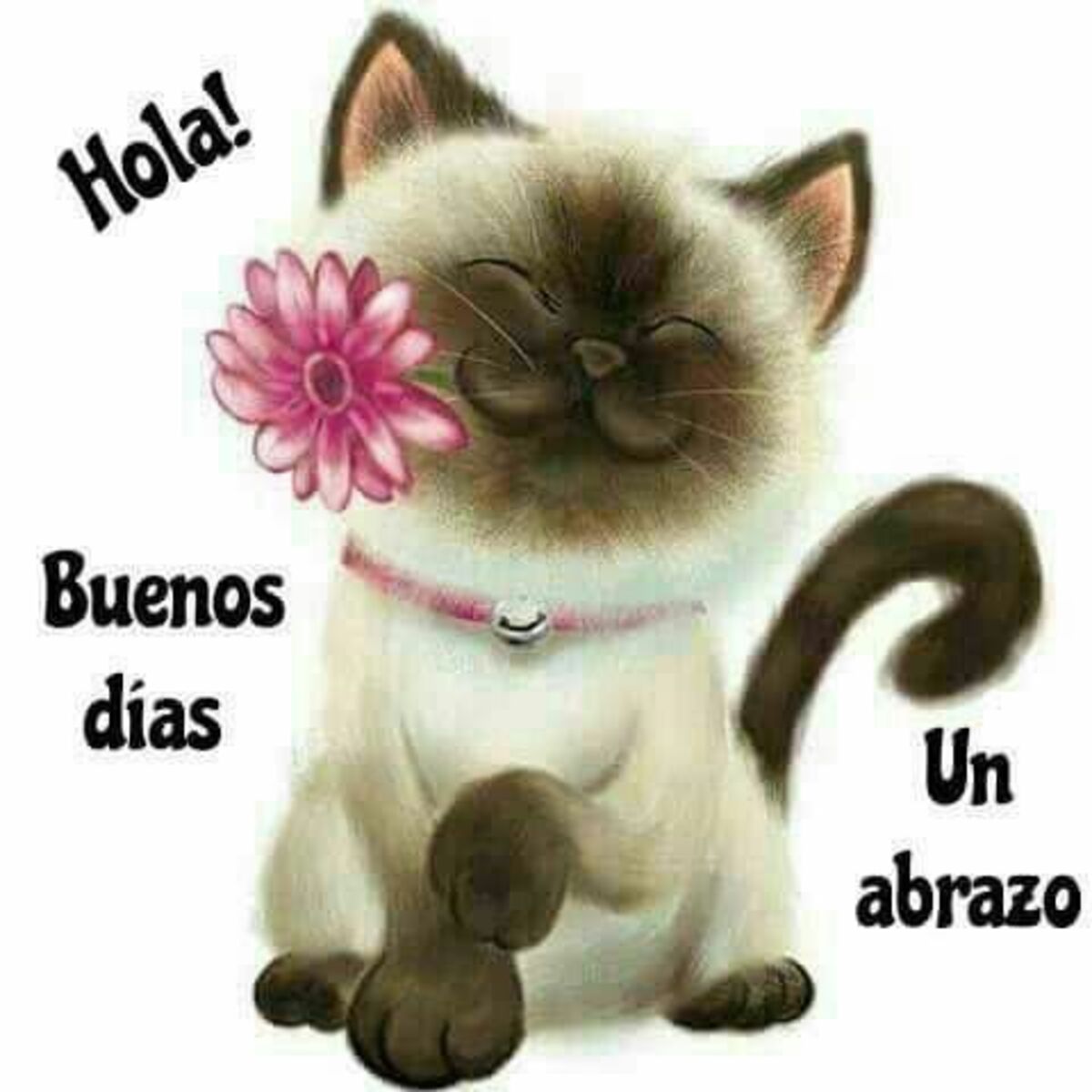 Hola Buenos Días un abrazo