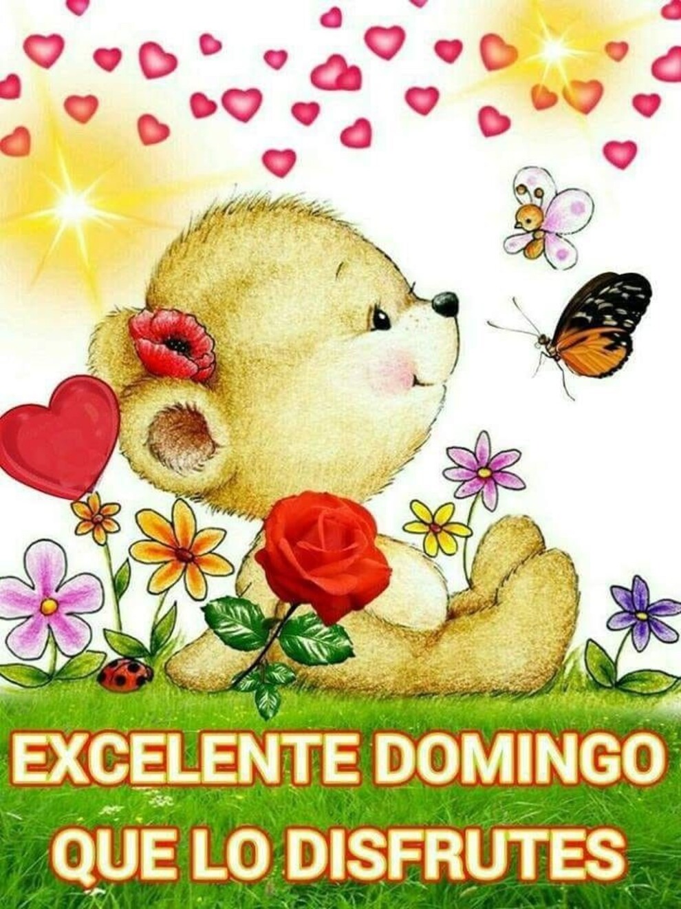 Hoy es Domingo día de no hacer nada sólo descansar 8