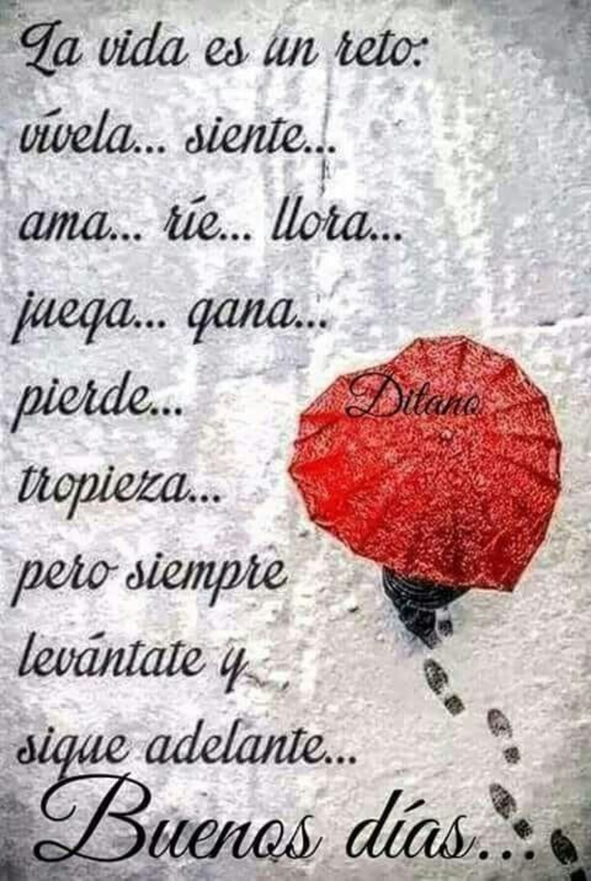 Imágenes Buenos Días a todos 10