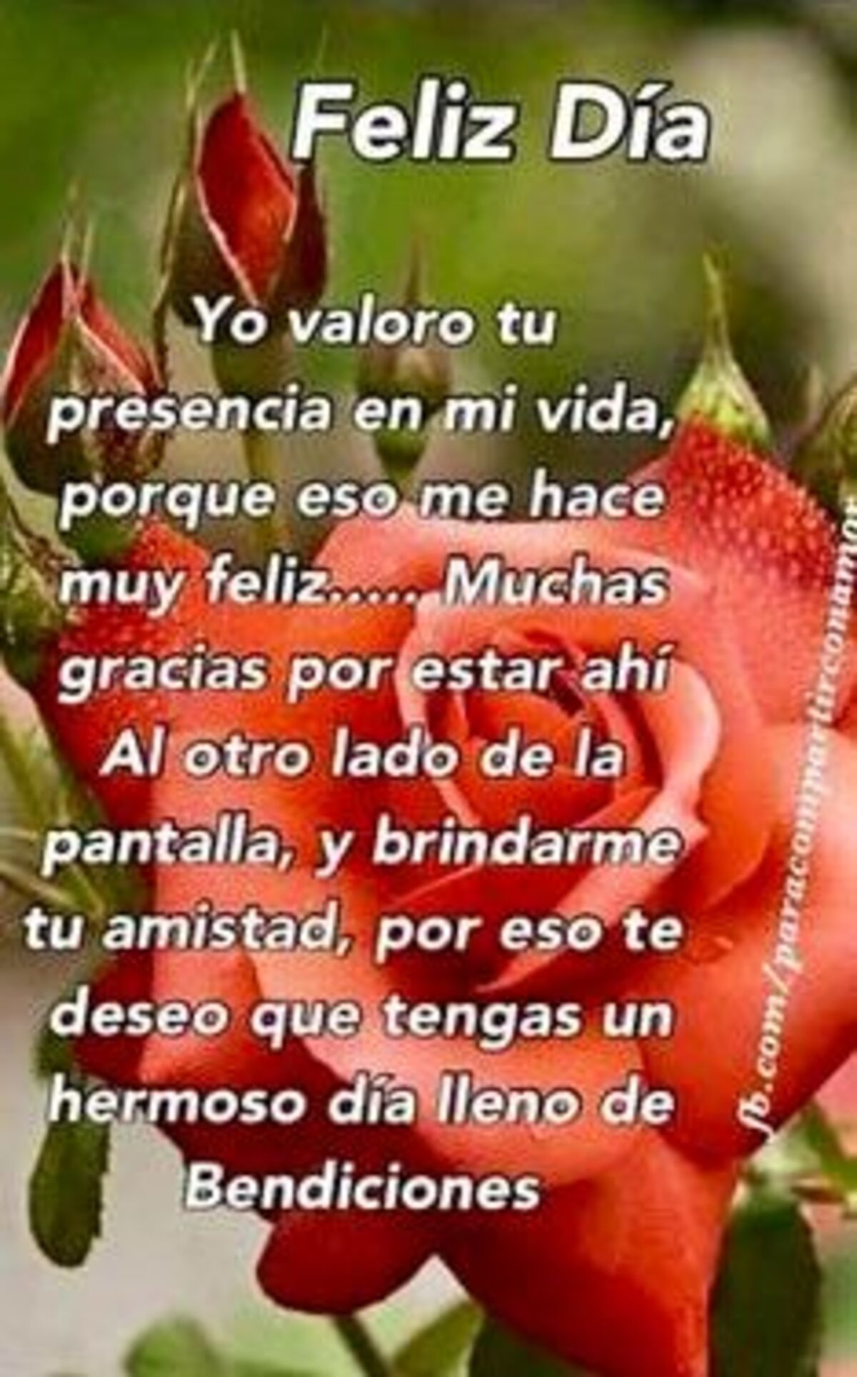 Imágenes Buenos Días a todos 3