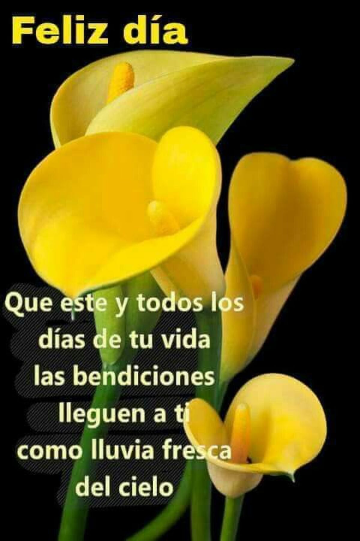 Imágenes Buenos Días a todos 4