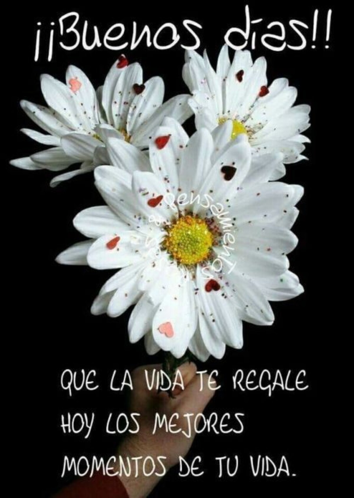 Imágenes Buenos Días bellas 2