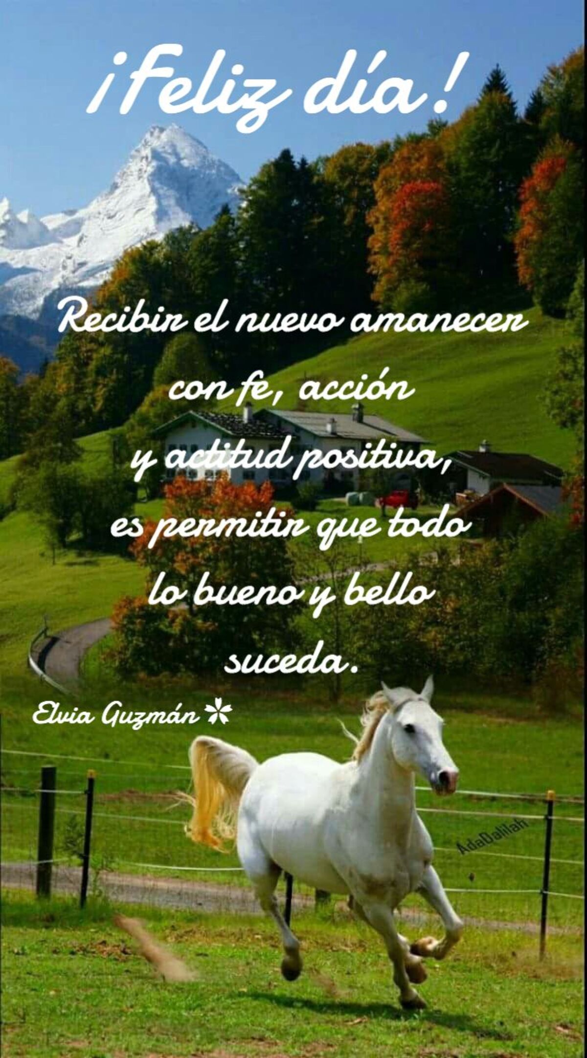 Imágenes Buenos Días bellas 4
