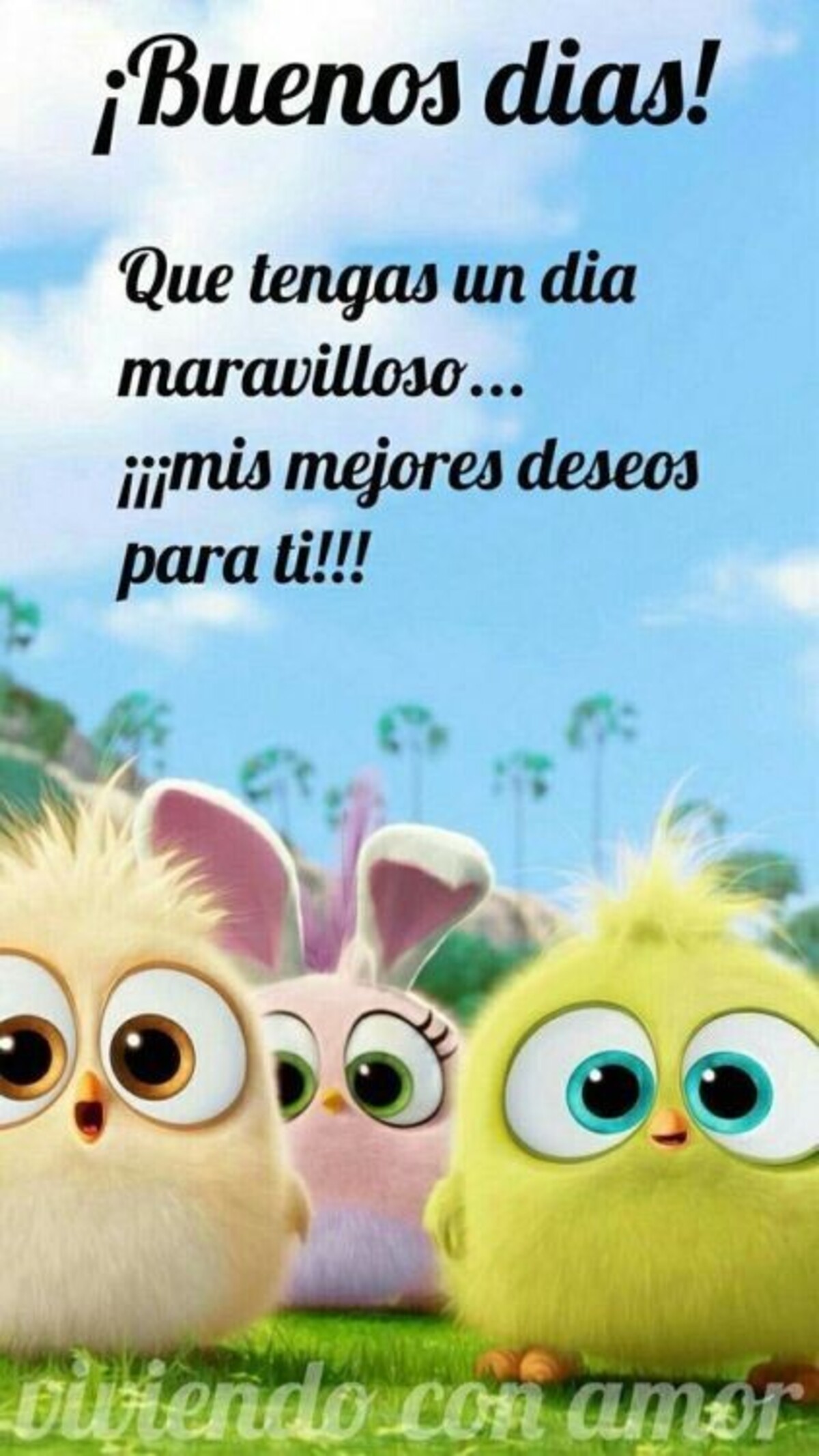 Imágenes Buenos Días bellas 9