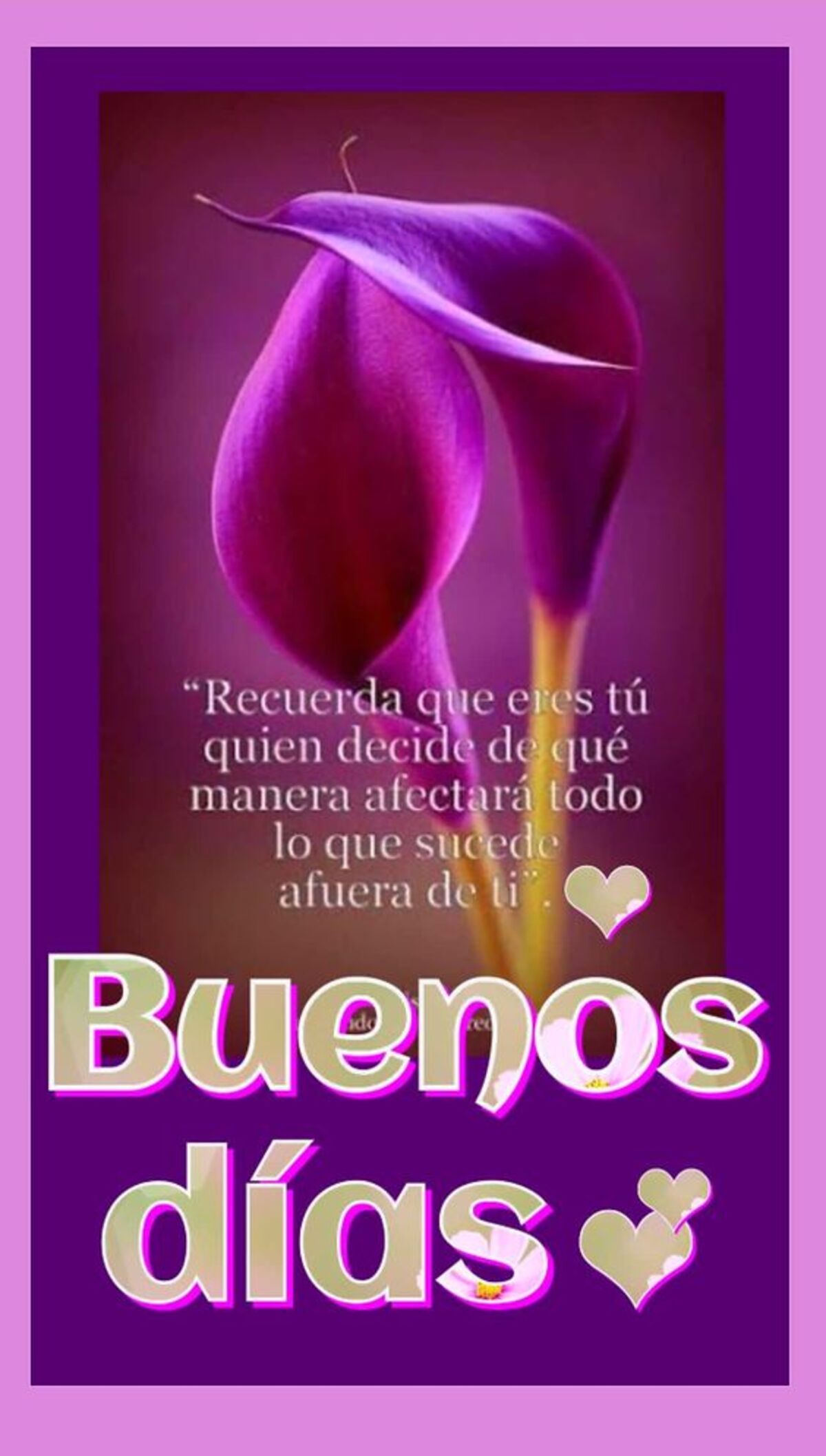 Imágenes Buenos Días bendiciones 5