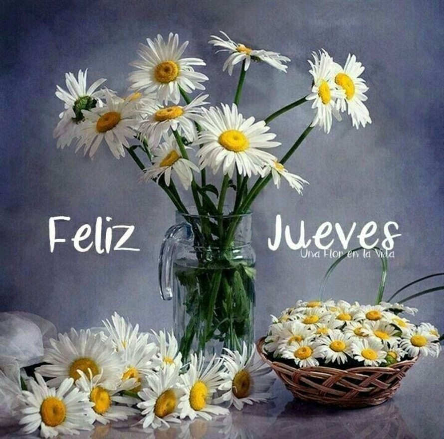 Imágenes Feliz Jueves 4