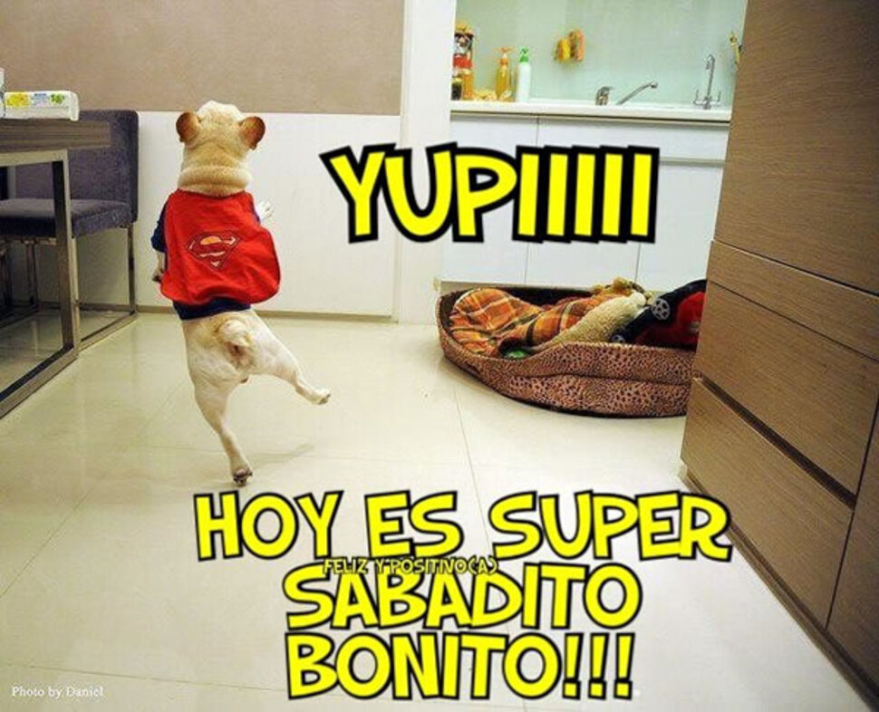Imágenes chistosas Feliz Sábado (3)