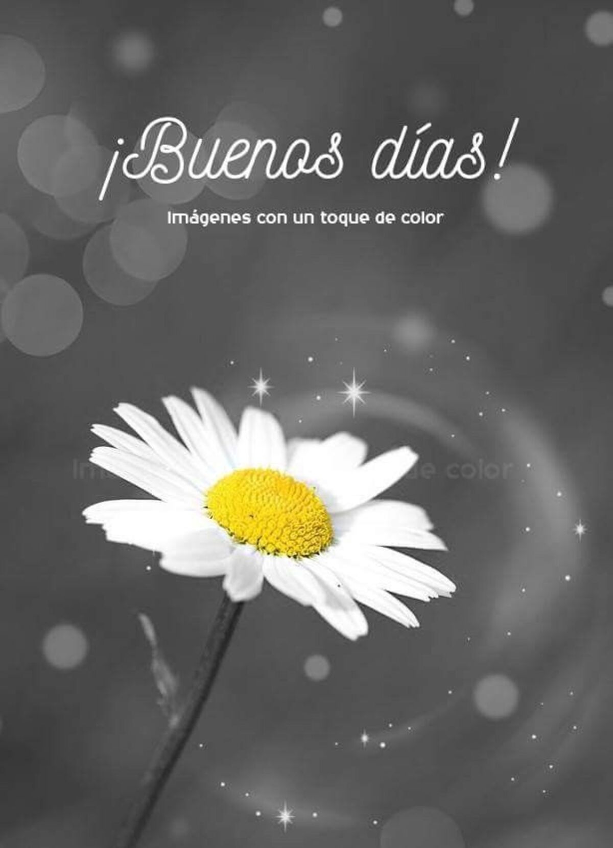 Imágenes con frases de Buenos Días para Facebook 6
