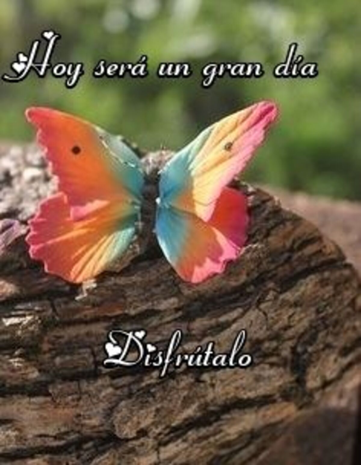 Imágenes con frases de Buenos Días para Facebook 9