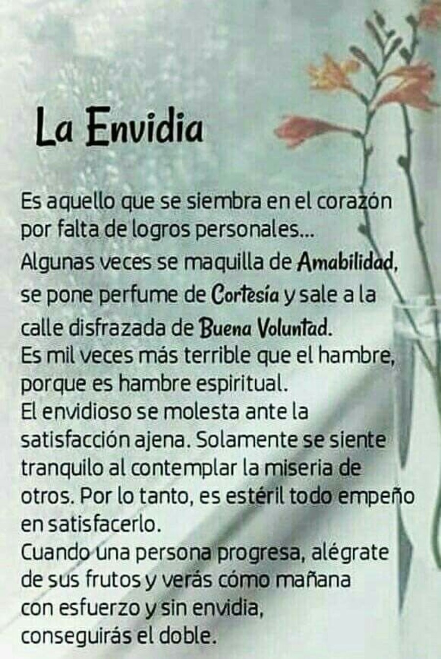 Imágenes con frases sobre la envidia