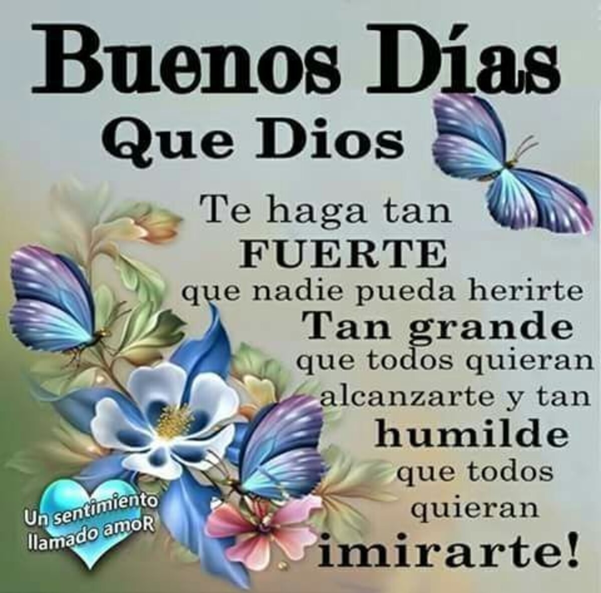 Imágenes de Buenos Días con reflexiones lindas 15