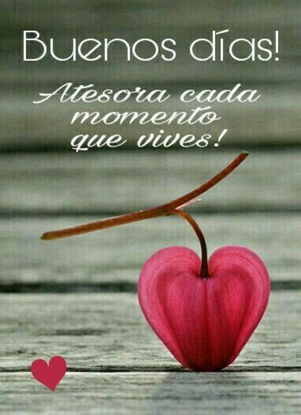 Imágenes de Buenos Días con reflexiones lindas 3