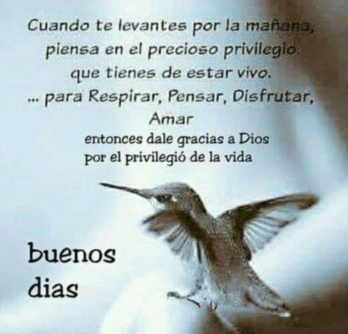 Imágenes de Buenos Días con reflexiones lindas 5