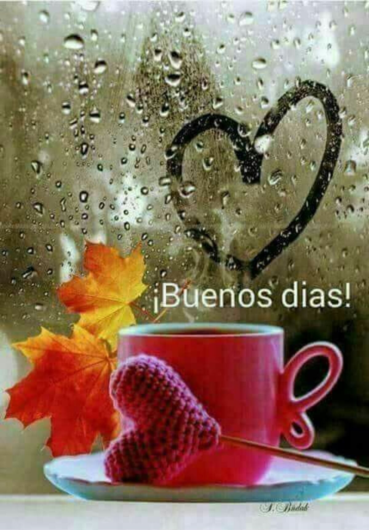 Imagenes de Buenos Días graciosas para whatsapp gratis 11