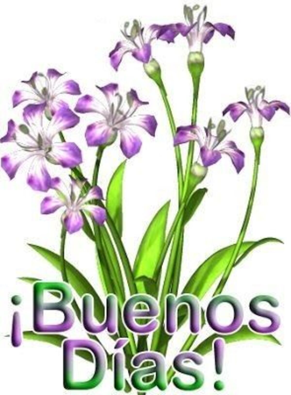 Imagenes de Buenos Días graciosas para whatsapp gratis 12