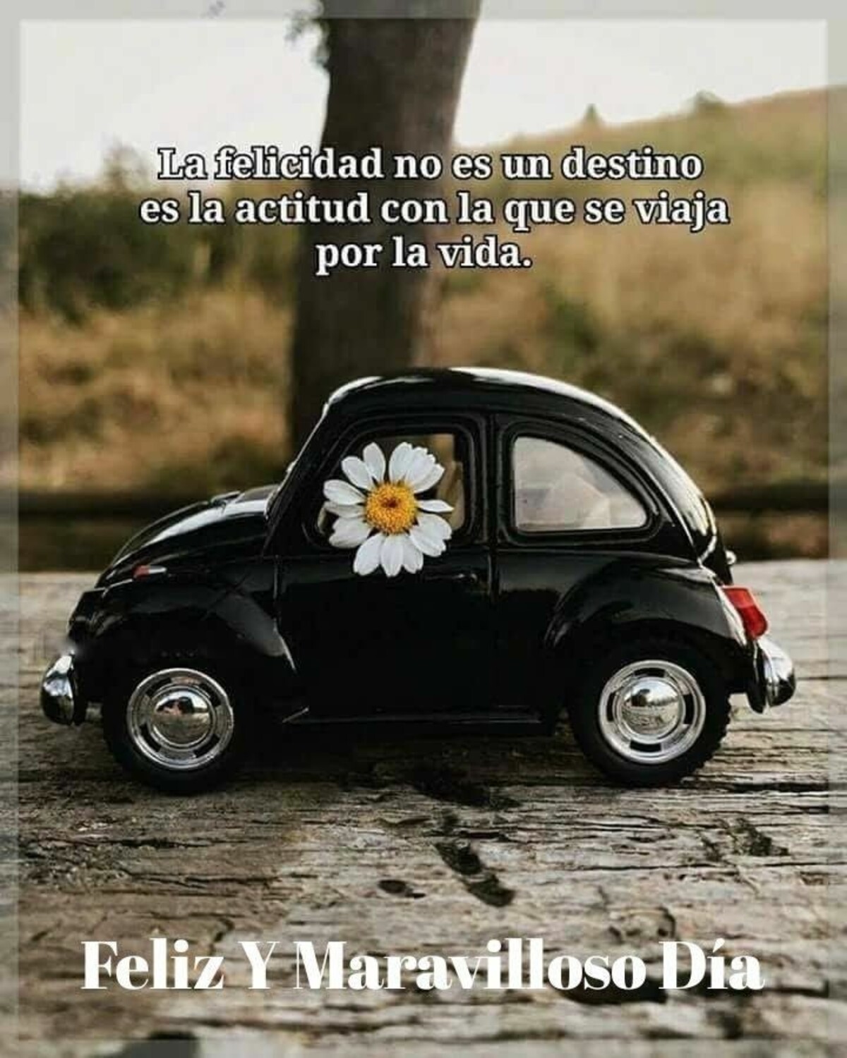 Imágenes de Buenos Días para descargar gratis al celular 9