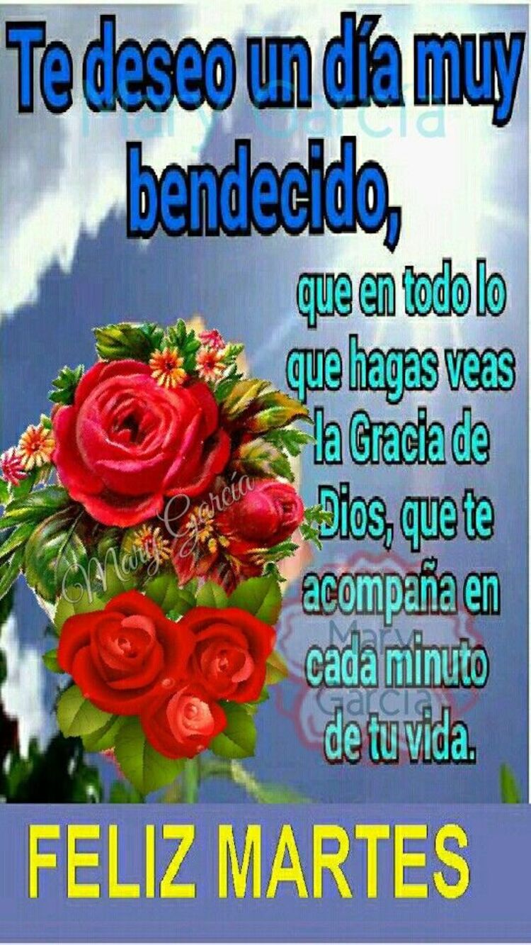 Imágenes de Feliz Martes con rosas (4)