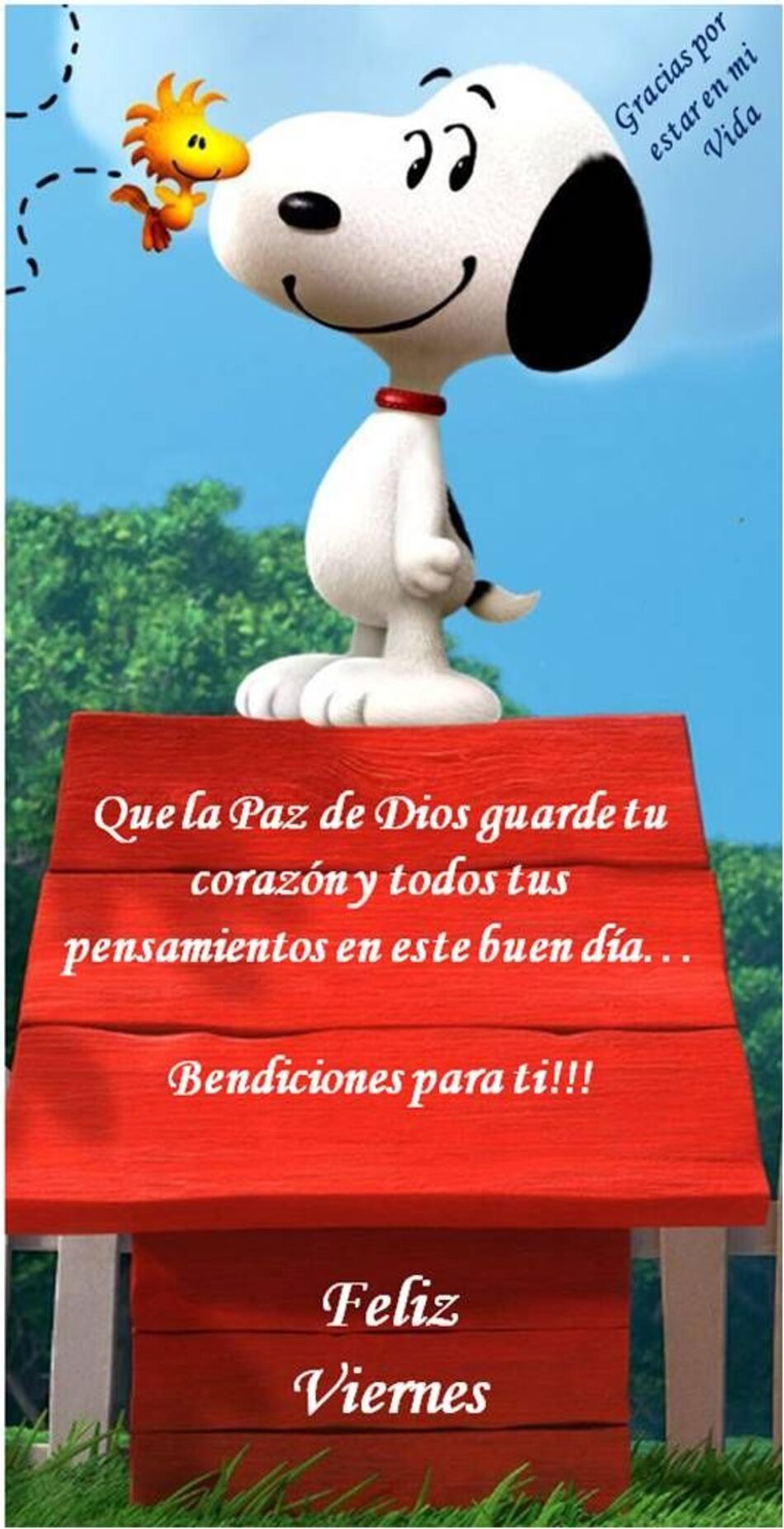 Imágenes de Feliz Viernes para grupos de WhatsApp 11