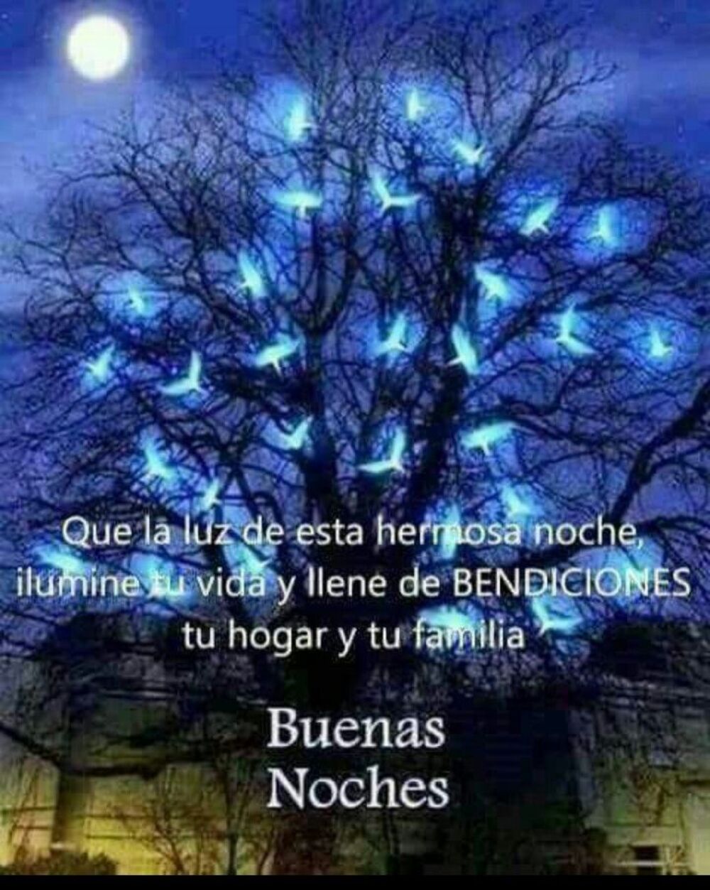 Imágenes de buenas noches bonitas gratis para descargar 6