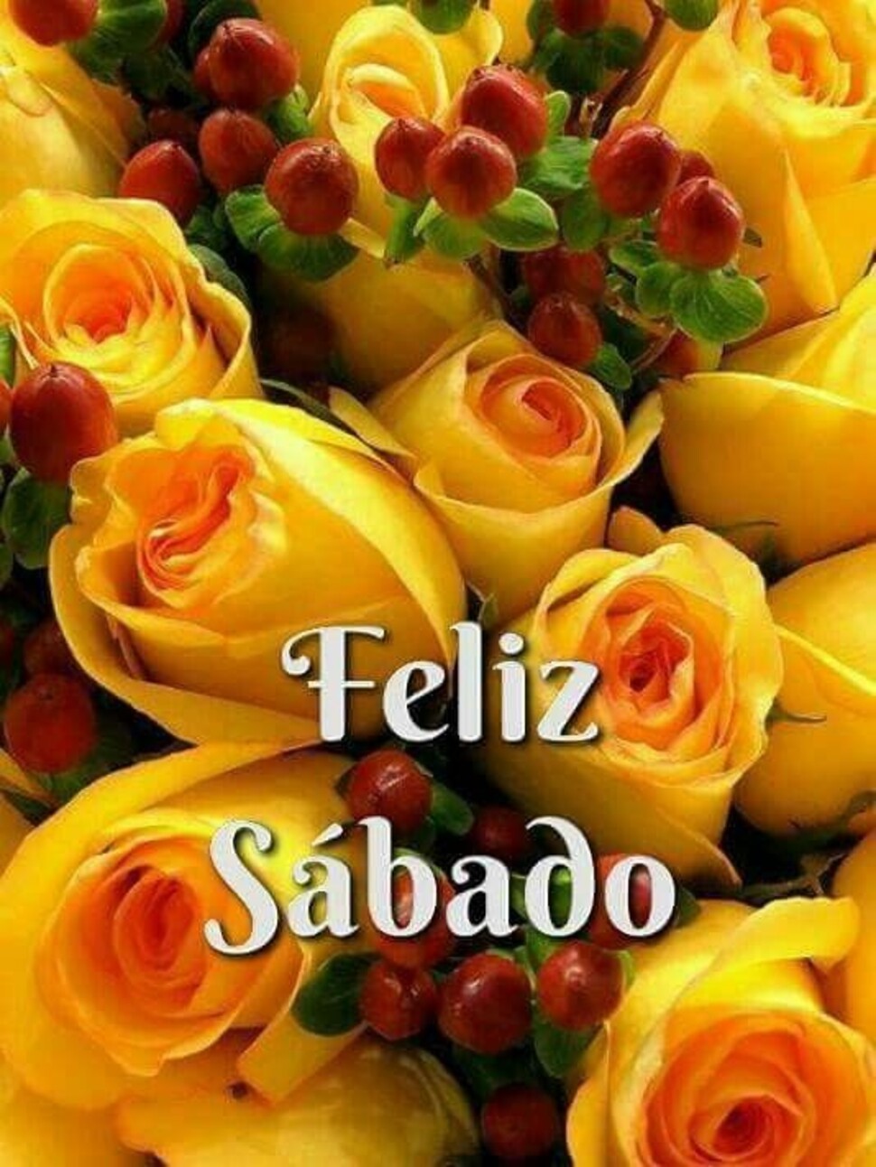 Imágenes frases y reflexiones para Feliz Sábado 5