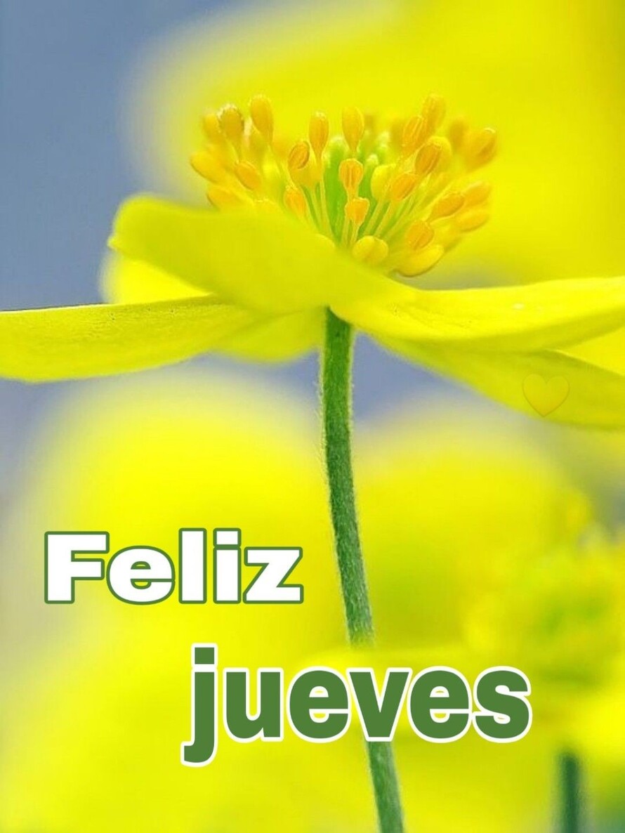 Imágenes gratis para descargar Feliz Jueves 2