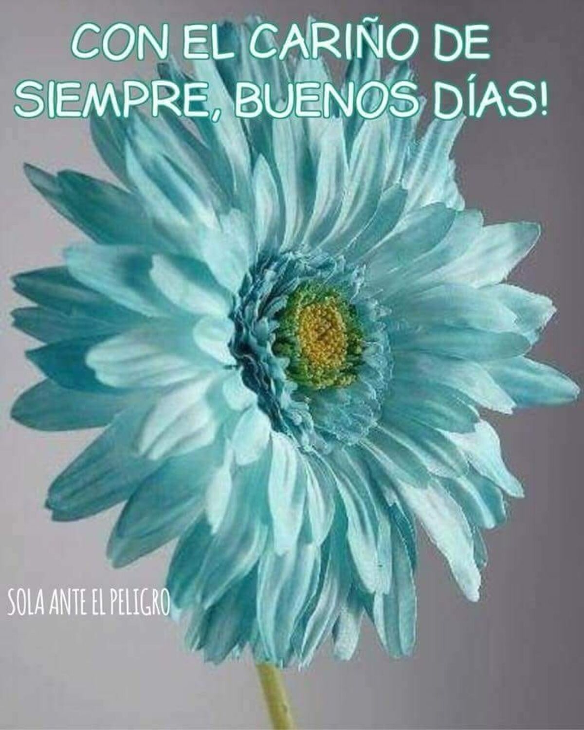 Imagenes hermosas de Buenos Días grupo 6