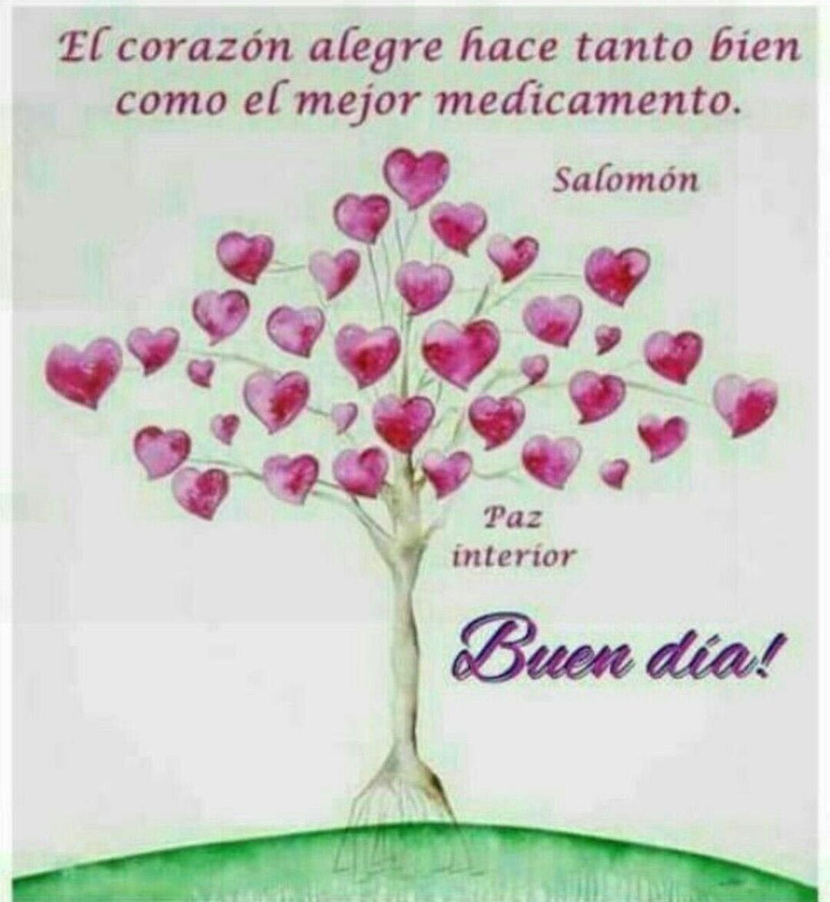 Imagenes hermosas de Buenos Días grupo 7