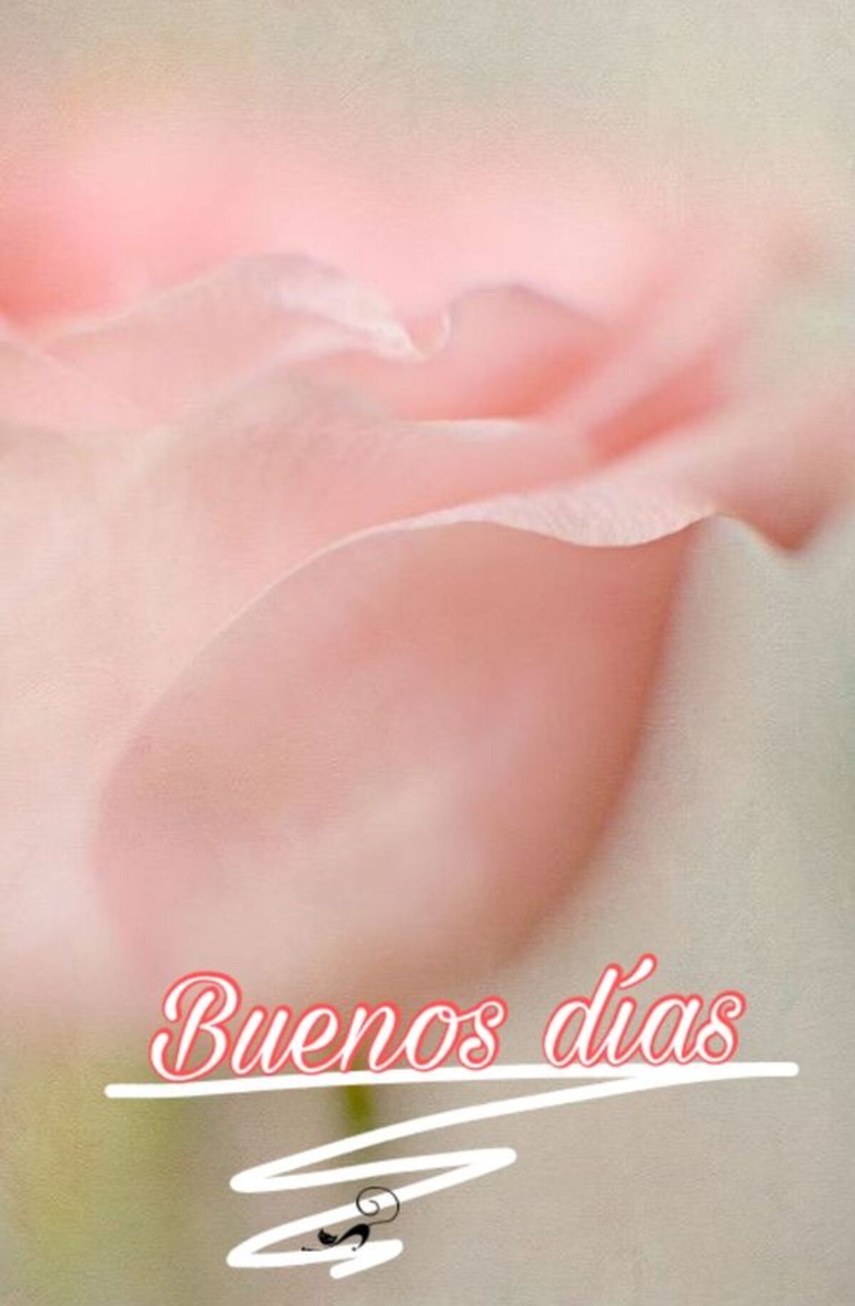 Imagenes hermosas de Buenos Días grupo 9