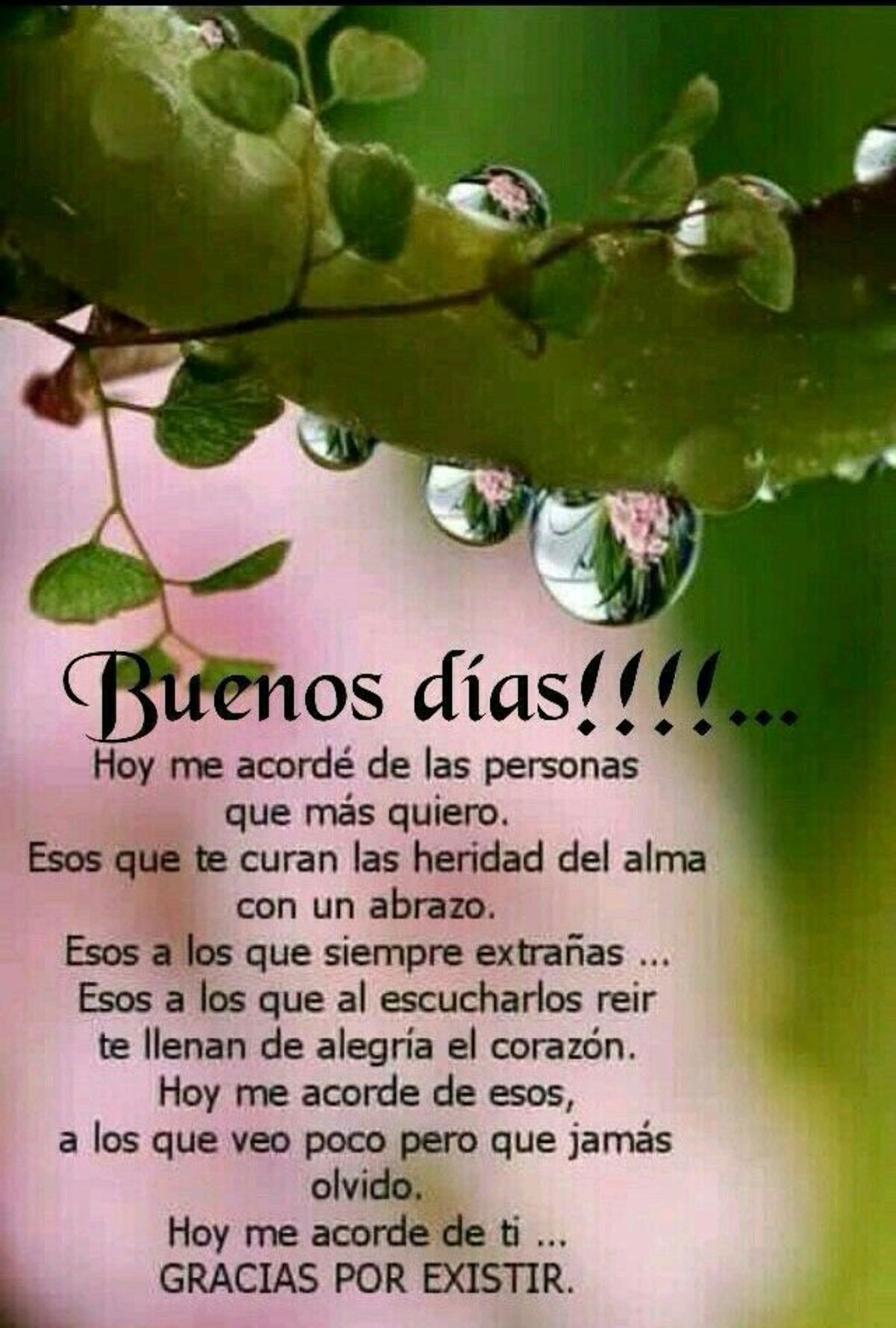 Imagenes lindas de Buenos Días para WhatsApp 10