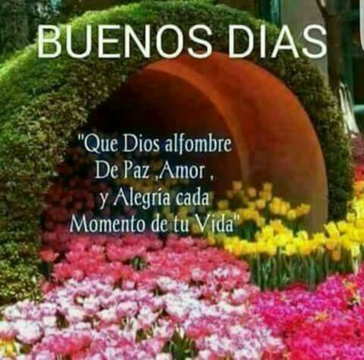Imagenes lindas de Buenos Días para WhatsApp 5