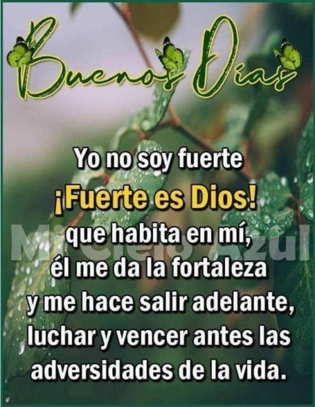 Imagenes lindas de Buenos Días para WhatsApp 7