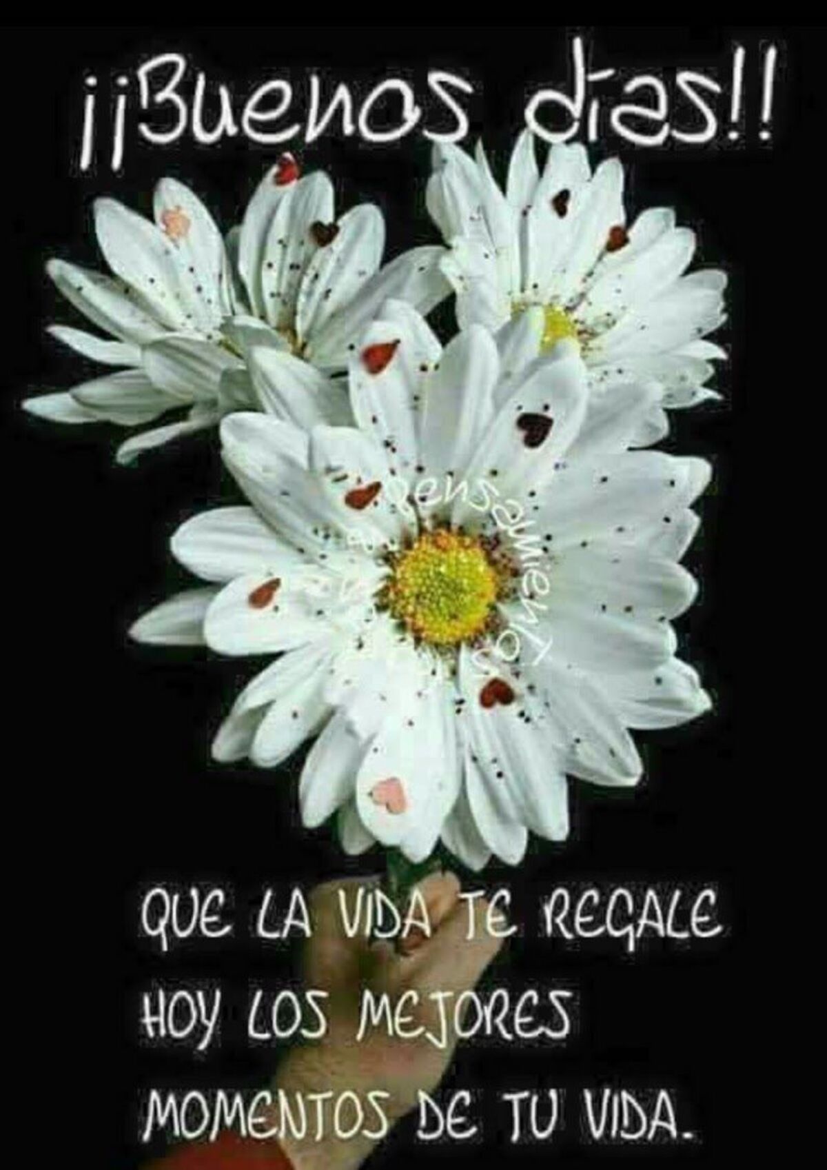 Imagenes lindas de Buenos Días para WhatsApp 8