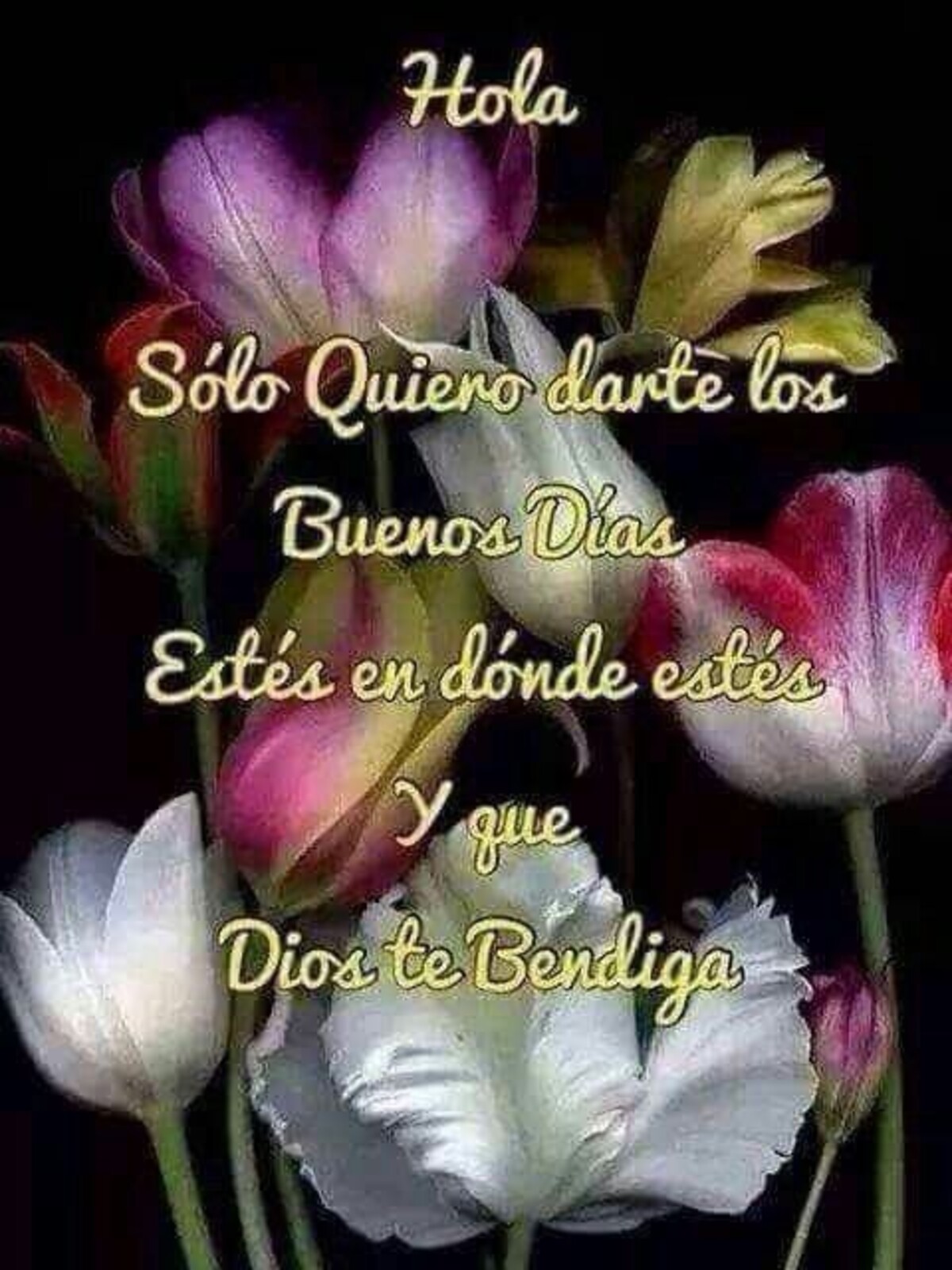 Imágenes lindas que digan Buenos Días 1