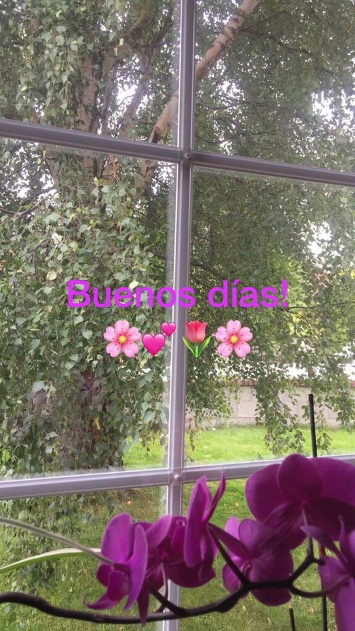 Imágenes lindas que digan Buenos Días 12