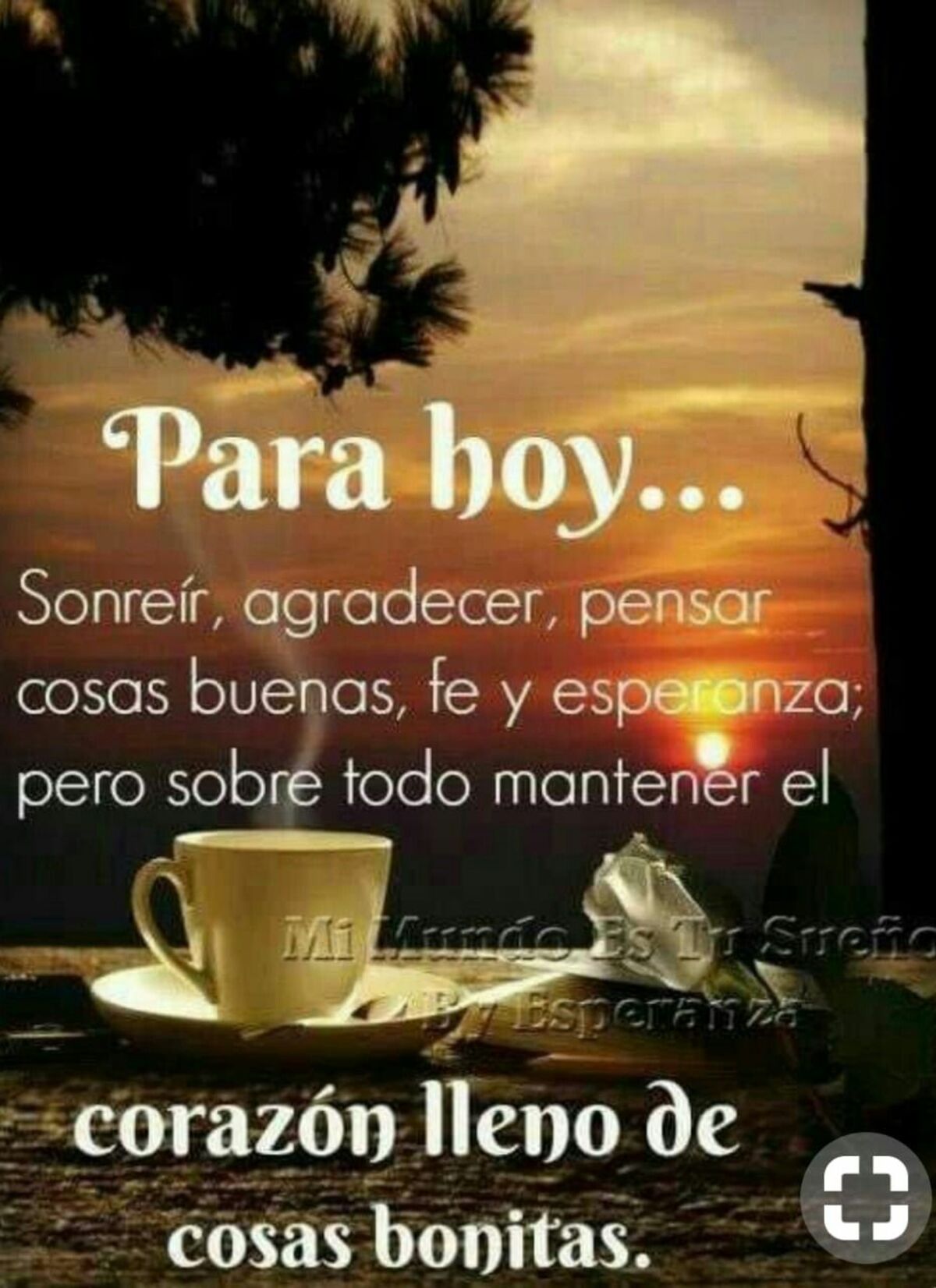 Imágenes lindas que digan Buenos Días 14