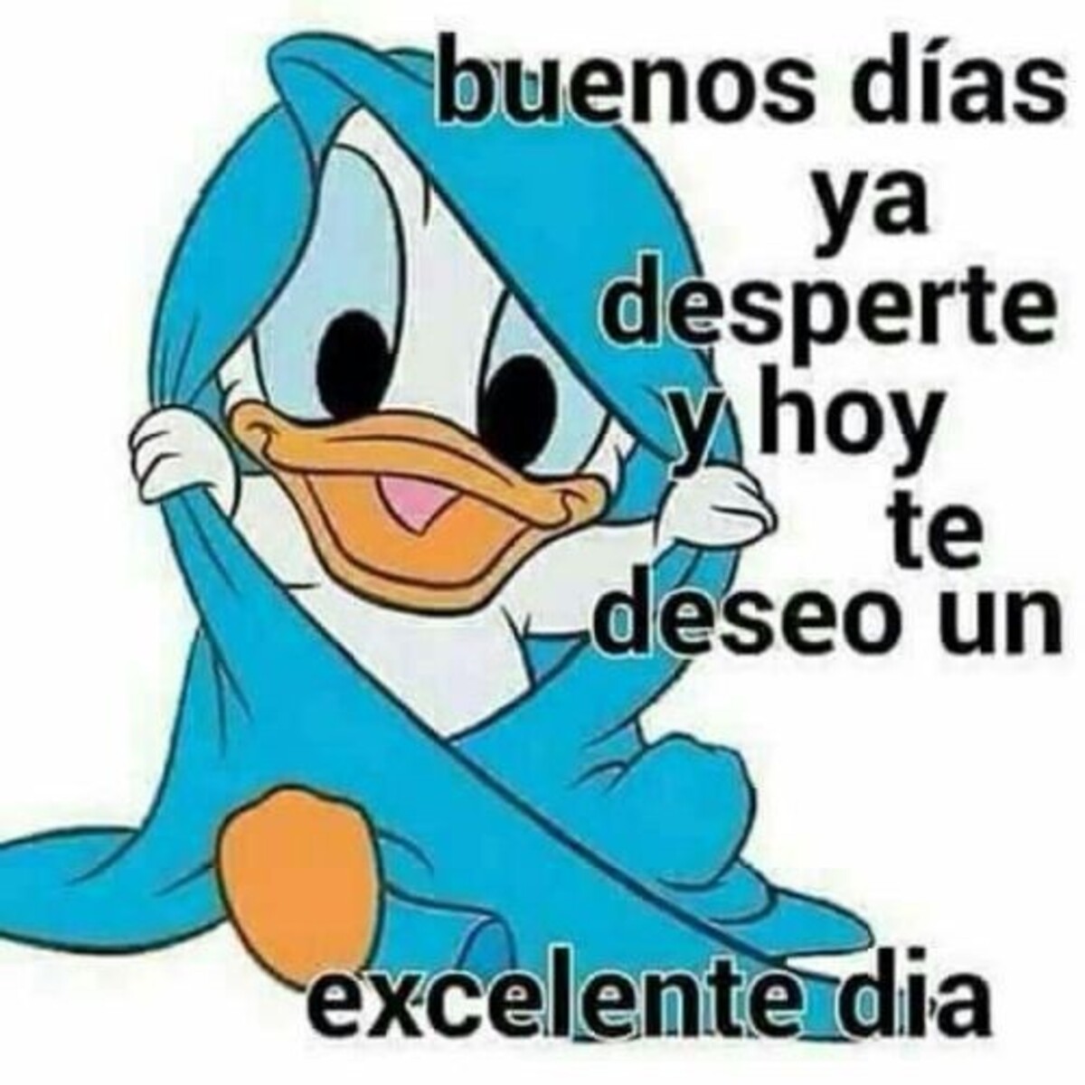 Imágenes lindas que digan Buenos Días 5