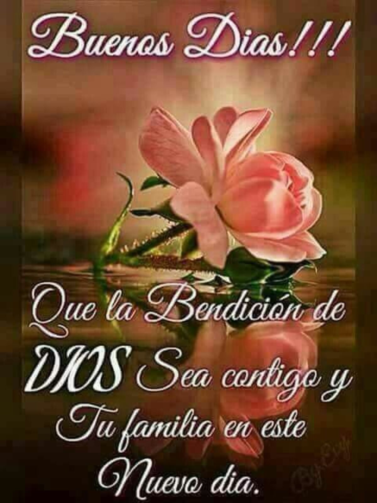 Imágenes lindas que digan Buenos Días 7