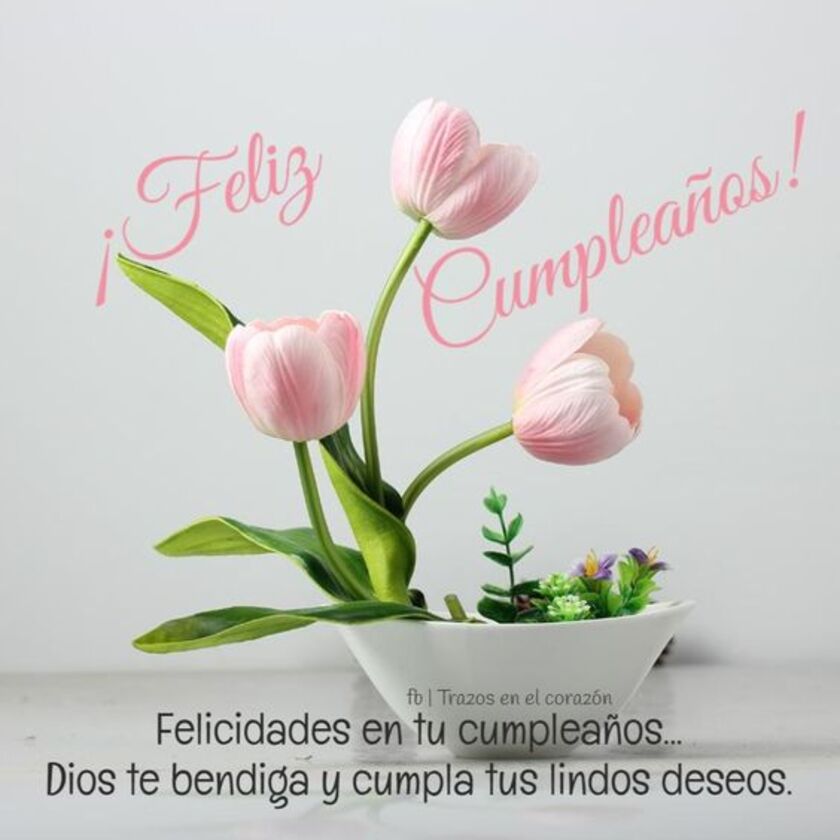 Imágenes lindas y frases para Feliz Cumpleaños 7