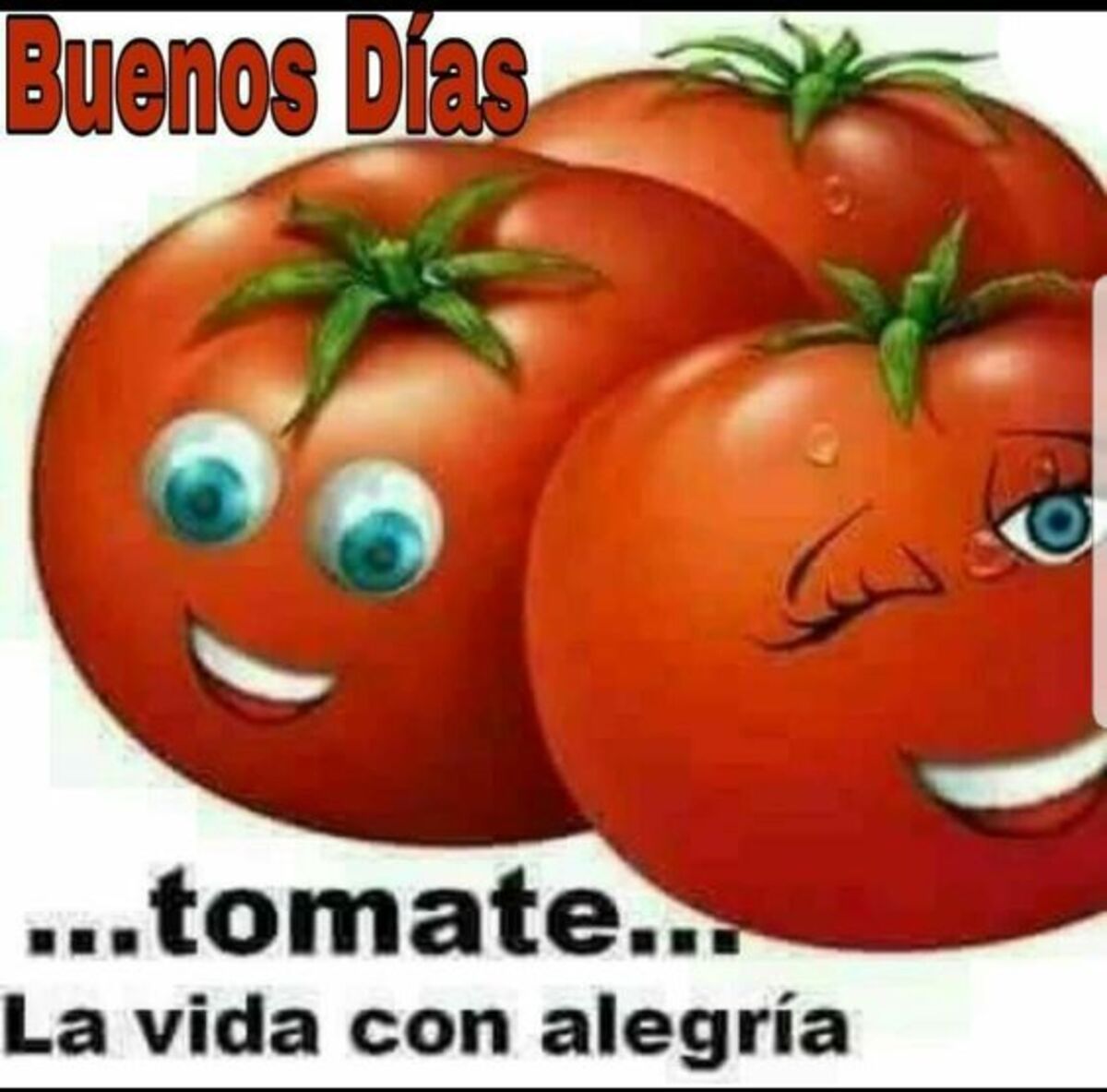 Imágenes originales de Buenos Días 11