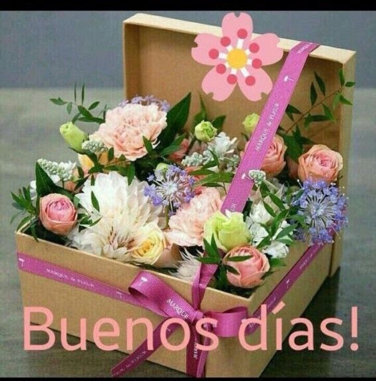 Imágenes originales de Buenos Días 12