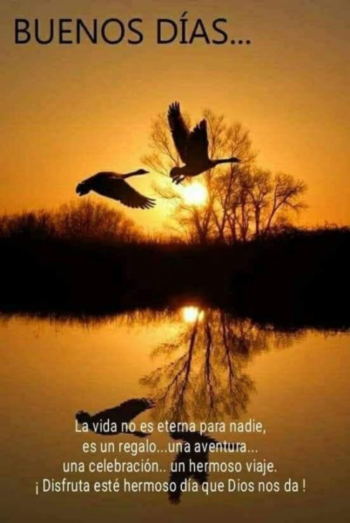 Imágenes originales de Buenos Días 13