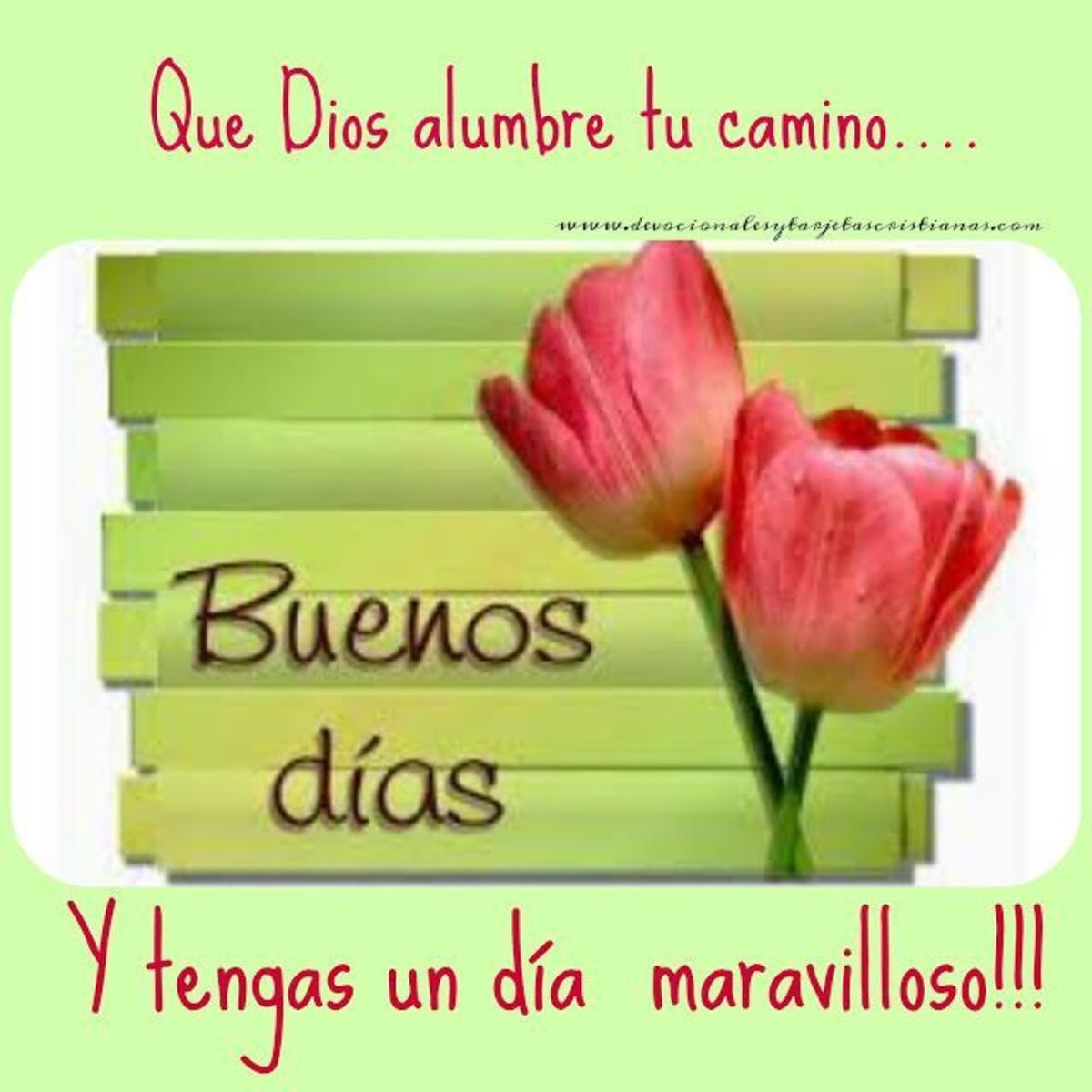 Imágenes originales de Buenos Días 4
